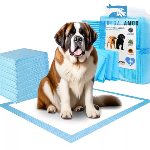 Pañales para perros Pack 20