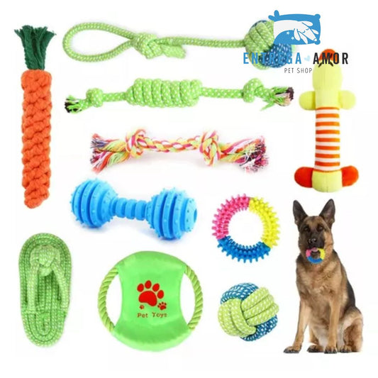 Set 10 Juguetes Para Mascotas, Pelota De Cuerda, Disco Y Más