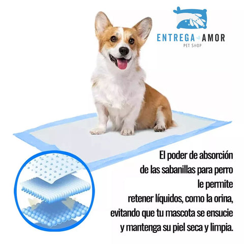 Pañales para perros Pack 20