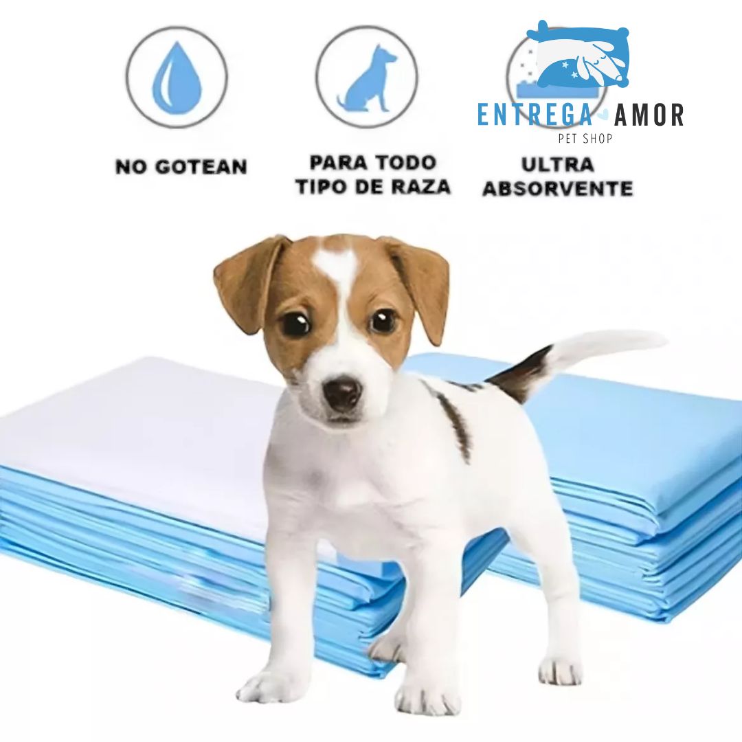 Pañales para perros Pack 20